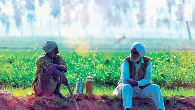 Budget 2022 : शेतकऱ्यांचं उत्पन्न वाढवण्यासाठी अर्थसंकल्पात मोठ्या घोषणांची शक्यता, पायाभूत सुविधांचा विकास, निर्यातीला प्रोत्साहन मिळणार?