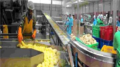 औरंगाबाद DMIC मध्ये फूडपार्कची दोन वर्षांपूर्वी घोषणा, अद्याप कामाला सुरुवात नाही, काय आहे कारण?