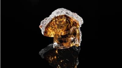 शुभ्र हिऱ्यांच्या अनेक कथा सगळ्यांनी ऐकल्या असतील, पण काळे हिरे देखील काही कमी नाही, का असतात हे काळे हिरे एवढे महाग?