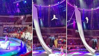 अबब..! 30 फुटांहूनही अधिक उंचीवरून उडी? 82 लांखांपेक्षा जास्त जणांनी पाहिलाय हा Video