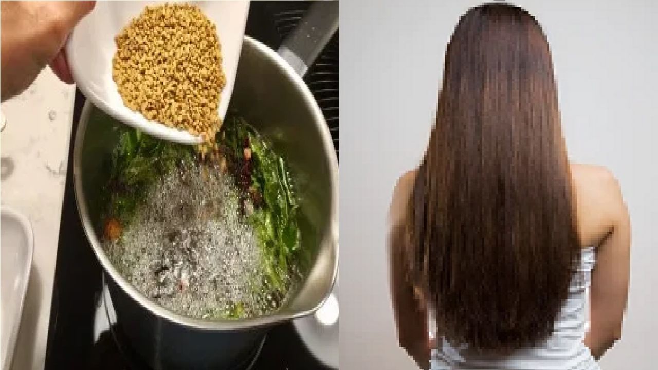 मेथी दाण्यापासून बनवलेले घरगुती हेअर मास्क वापरा अन् सुंदर-घनदाट केस मिळवा मेथी दाण्यापासून बनवलेले घरगुती हेअर मास्क वापरा अन् सुंदर-घनदाट केस मिळवा