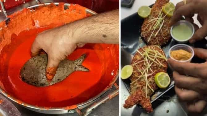 आता शाकाहारी फिश फ्रायचा Video होतोय Viral; यूझर्स म्हणतायत, या किंमतीत दोन किलो मासे येतील!