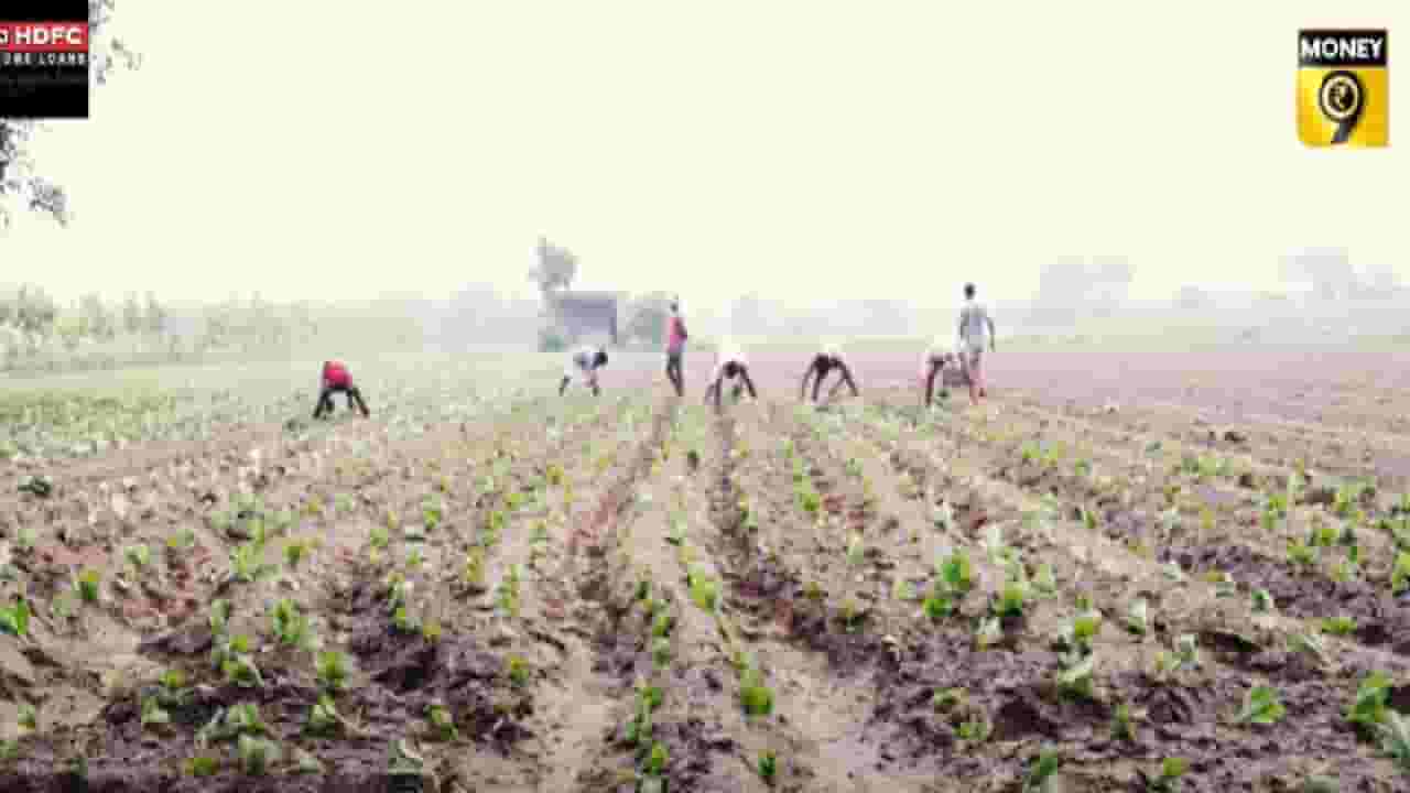 काय आहे अल्पभूधारक शेतकऱ्याच्या बजेटकडून अपेक्षा