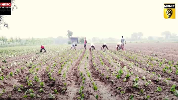 काय आहे अल्पभूधारक शेतकऱ्याच्या बजेटकडून अपेक्षा काय आहे अल्पभूधारक शेतकऱ्याच्या बजेटकडून अपेक्षा