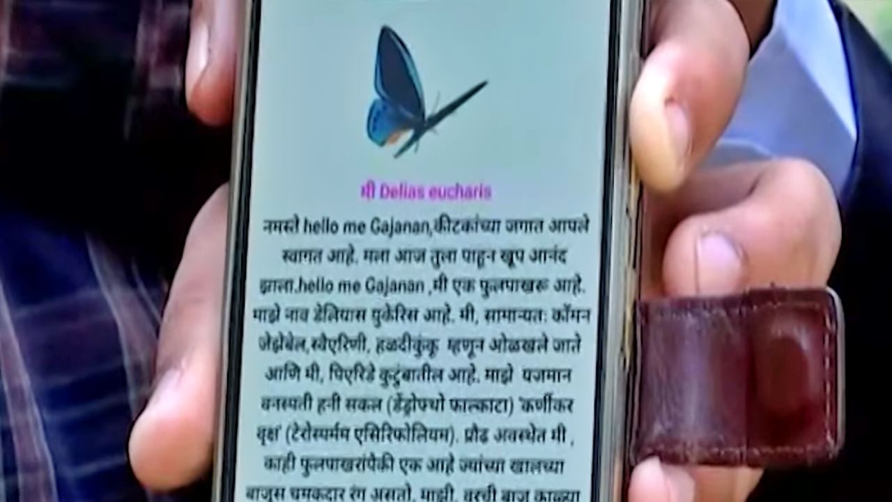 Nagpur Butterfly Video : विदर्भातलं बोलणारं फुलपाखरू पाहिलंय? अॅपच्या माध्यमातून साधतंय संवाद