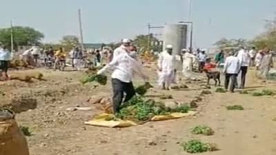 आठवडी बाजार बंद, भाजीपाल्याला मागणीच नसल्याने शेतकऱ्याने मेथीच्या जुड्या हवेतच भिरकावल्या