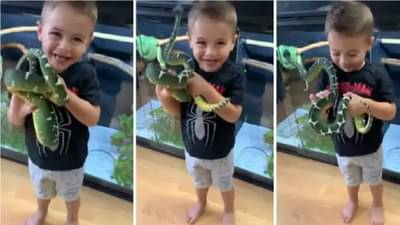 Video | खेळण्याची अजब तऱ्हा, लहान मुलाने जिवंत सापाला हातात पकडले, नंतर..., व्हिडीओ सोशल मीडियावर व्हायरल