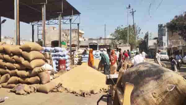 Latur Market: जे शेतकऱ्यांच्या मनात तेच सोयाबीनच्या बाजारात, अखेर चार महिन्यानंतर...
