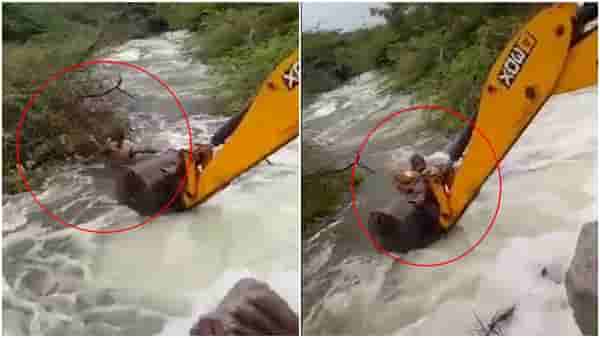 Dog Video : जोरदार लाटांमध्ये बुडत होता कुत्रा मग जीव धोक्यात घालत होमगार्डनं पाण्यात घेतली उडी, आणि...
