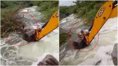 Dog Video : जोरदार लाटांमध्ये बुडत होता कुत्रा मग जीव धोक्यात घालत होमगार्डनं पाण्यात घेतली उडी, आणि...