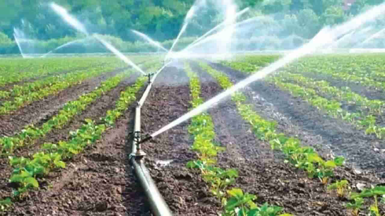 Drip Irrigation : सरकारचा एक निर्णय अन् लाखो शेतकऱ्यांचा फायदा, उत्पादनवाढीसाठी काय आहे धोरण?