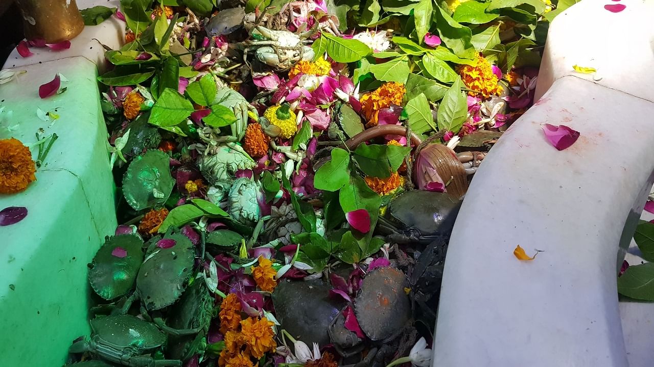 Surat | मृतांच्या मनोकामना पूर्ण करण्यासाठी स्मशानभूमीत खच्चून गर्दी, शिवलिंगावर सोडले जातायत जीवंत खेकडे