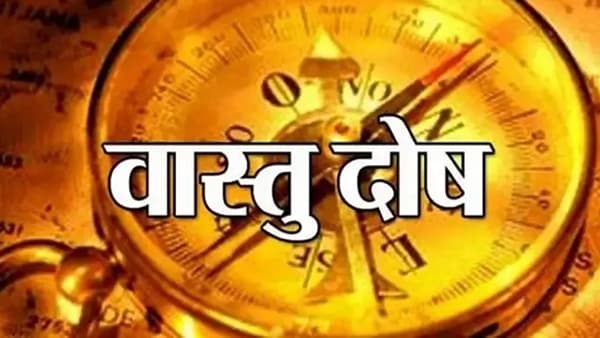 प्रत्येक व्यक्तीला आपल्या घरामध्ये सुख-शांती असावी अशी इच्छा असते. जुन्या काळामध्ये अनेक वेळा वडिलधारे लोक घरामध्ये काही गोष्टी करणे टाळण्यास सांगत होते. कारण घरामध्ये सुख-शांती आणि लक्ष्मीचा वास हवा असेल तर आपण काही गोष्टी पाळणे आवश्यक आहे.