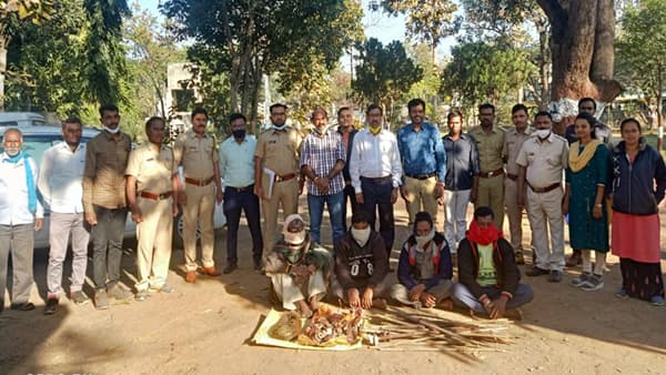 रुद्र बी टू वाघाची शिकार! आता आणखी 4 आरोपींना बेड्या, का करण्यात आली वाघाची हत्या?