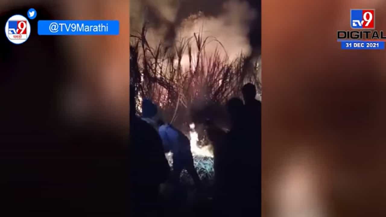 औरंगाबादमध्ये टेम्भापुरी गावात उसाच्या पिकाला भीषण आग, 10 एकर उसाला आग