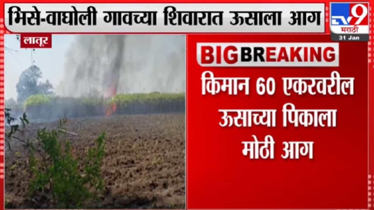 लातूर जिल्ह्यातील भिसे-वाघोली गावच्या शिवारात ऊसाला आग, शेतकऱ्यांचं नुकसान