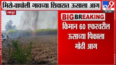 लातूर जिल्ह्यातील भिसे-वाघोली गावच्या शिवारात ऊसाला आग, शेतकऱ्यांचं नुकसान