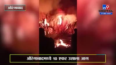 Damage to Sugarcane: टेम्भापुरी शिवारातील ऊसाला आग, 10 एकरातील ऊस जळून खाक