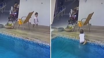 Shocking Video Viral : स्विमिंग पूलशेजारी खेळत होती चिमुरडी आणि अचानक...