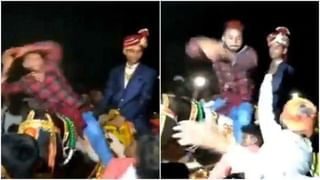 कोळी नव्हे चित्रकारच जणू! पाहणाऱ्यालाही अडकवतो आपल्या ‘जाळ्या’त, Video Viral