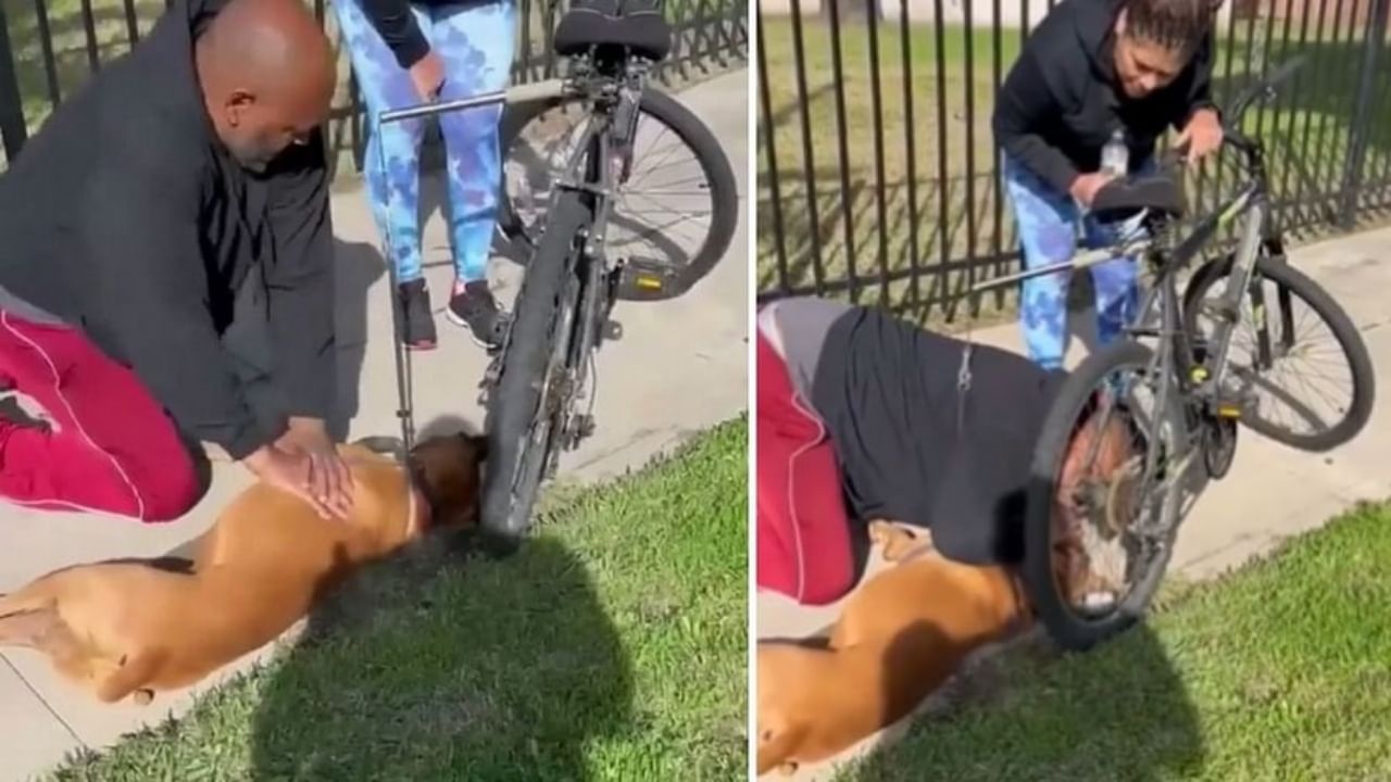 फूटपाथवर बेशुद्ध पडलेल्या कुत्र्याला कसं वाचवलं? Emotional video Viral, नेटकरी भावुक