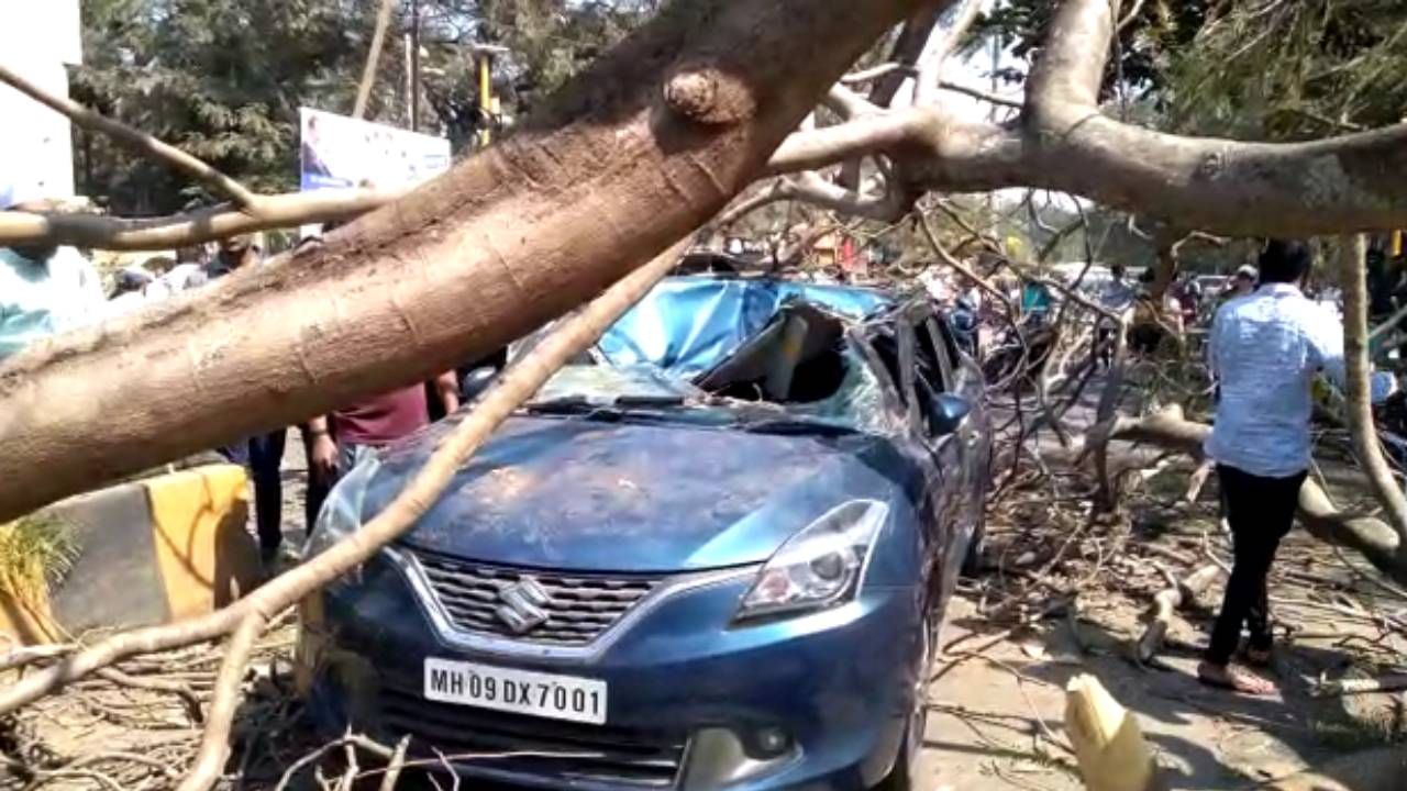 कोल्हापुरात जिल्हाधिकारी कार्यालयासमोर भलंमोठं झाड एका कारवर पडलं. यामध्ये काकचं तर प्रचंड मोठं नुकसान झालं आहे. 