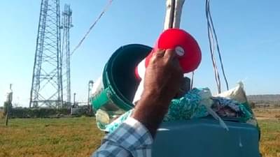 शेतकऱ्यांचा नाद खुळा : वन्यप्राण्यांपासून पीक संरक्षणासाठी अनोखी शक्कल, दुहेरी फायदा