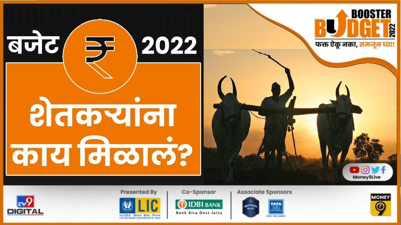 Budget 2022: अर्थसंकल्पात शेतकऱ्यांसाठी भरीव तरतूद, 'एमएसपी' अंतर्गत 2 लाख 70 हजार कोटी रुपये देणार