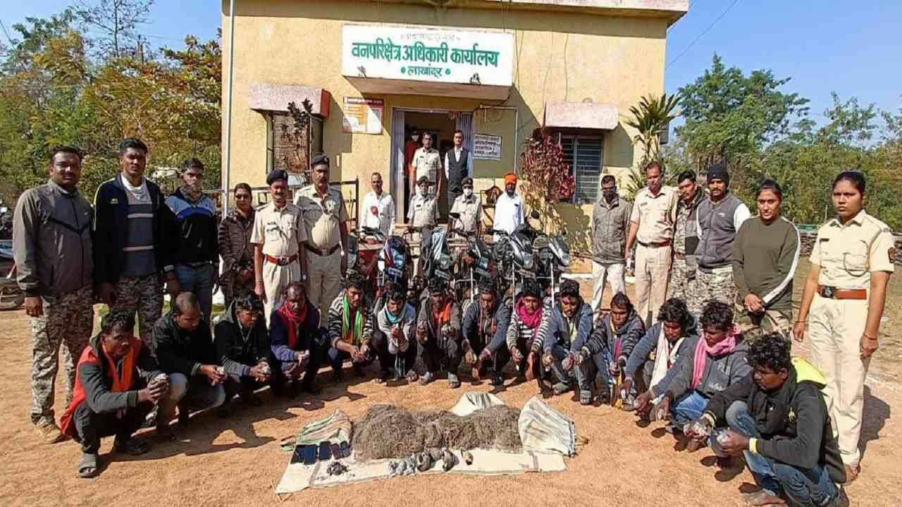 Bhandara | शिकारीसाठी गेले आणि वनविभागाच्या जाळ्यात आले, भंडाऱ्यात चौदा जणांवर कारवाई