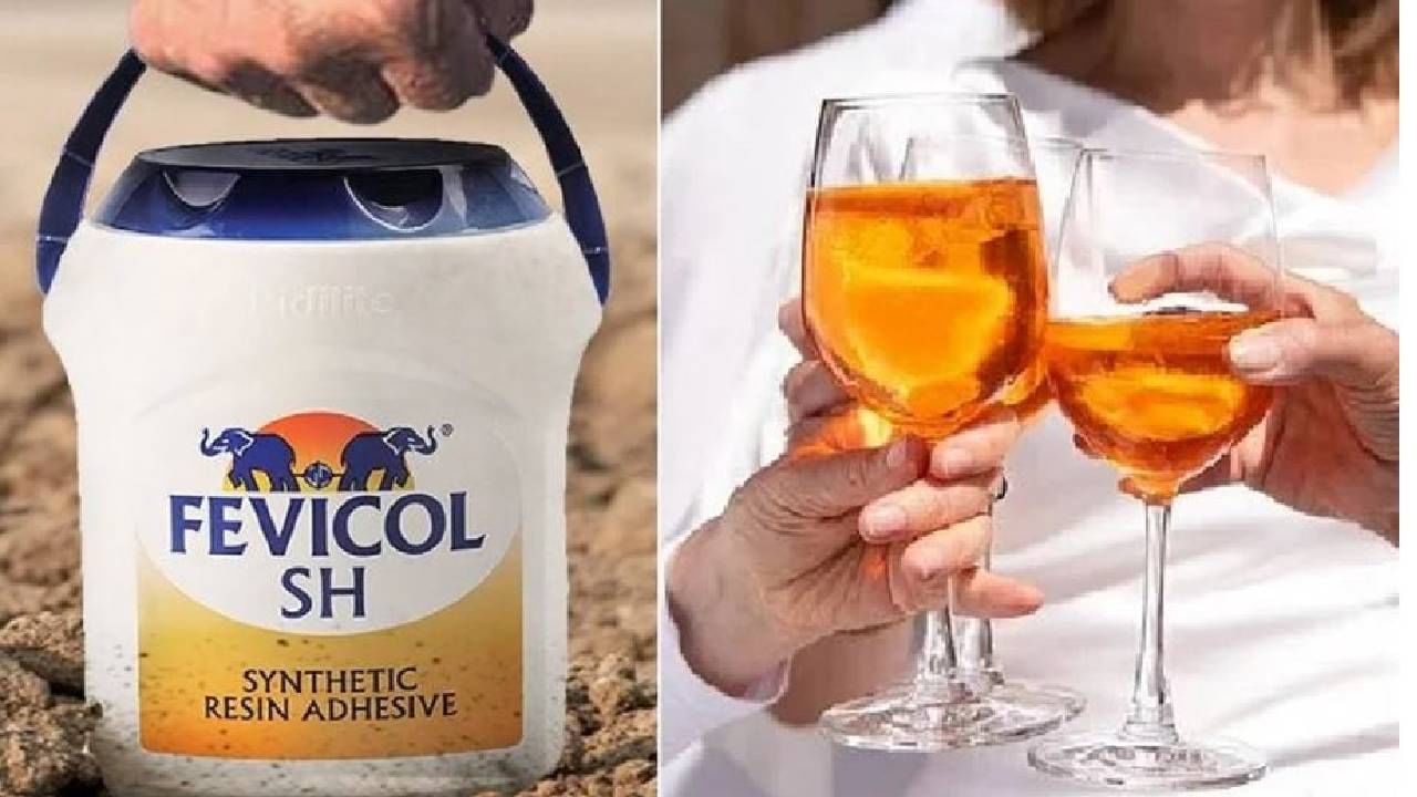 Viral : हर्ष गोयंकांनी विचारलं बॉन्डिंगसाठी काय चांगलं? अल्कोहल की फेविकॉल? फेविकॉलचं जबरदस्त उत्तरं वाचाच Viral : हर्ष गोयंकांनी विचारलं बॉन्डिंगसाठी काय चांगलं? अल्कोहल की फेविकॉल? फेविकॉलचं जबरदस्त उत्तरं वाचाच