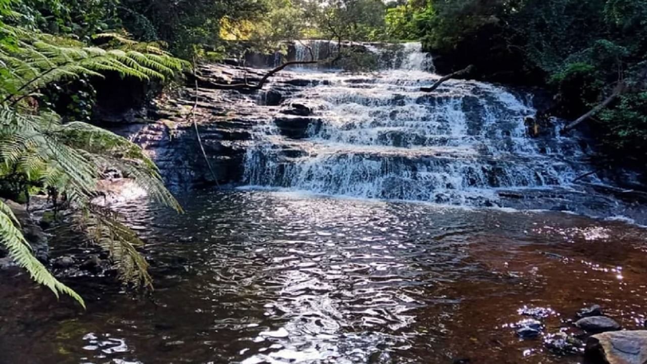 कोडाईकनालला भेट देणाऱ्यांसाठी थलियार फॉल्स हे एक उत्तम ठिकाण आहे. थलियार धबधबा पर्यटकांसाठी रविवार वगळता दररोज सकाळी 10 ते संध्याकाळी 6 या वेळेत खुला असतो.