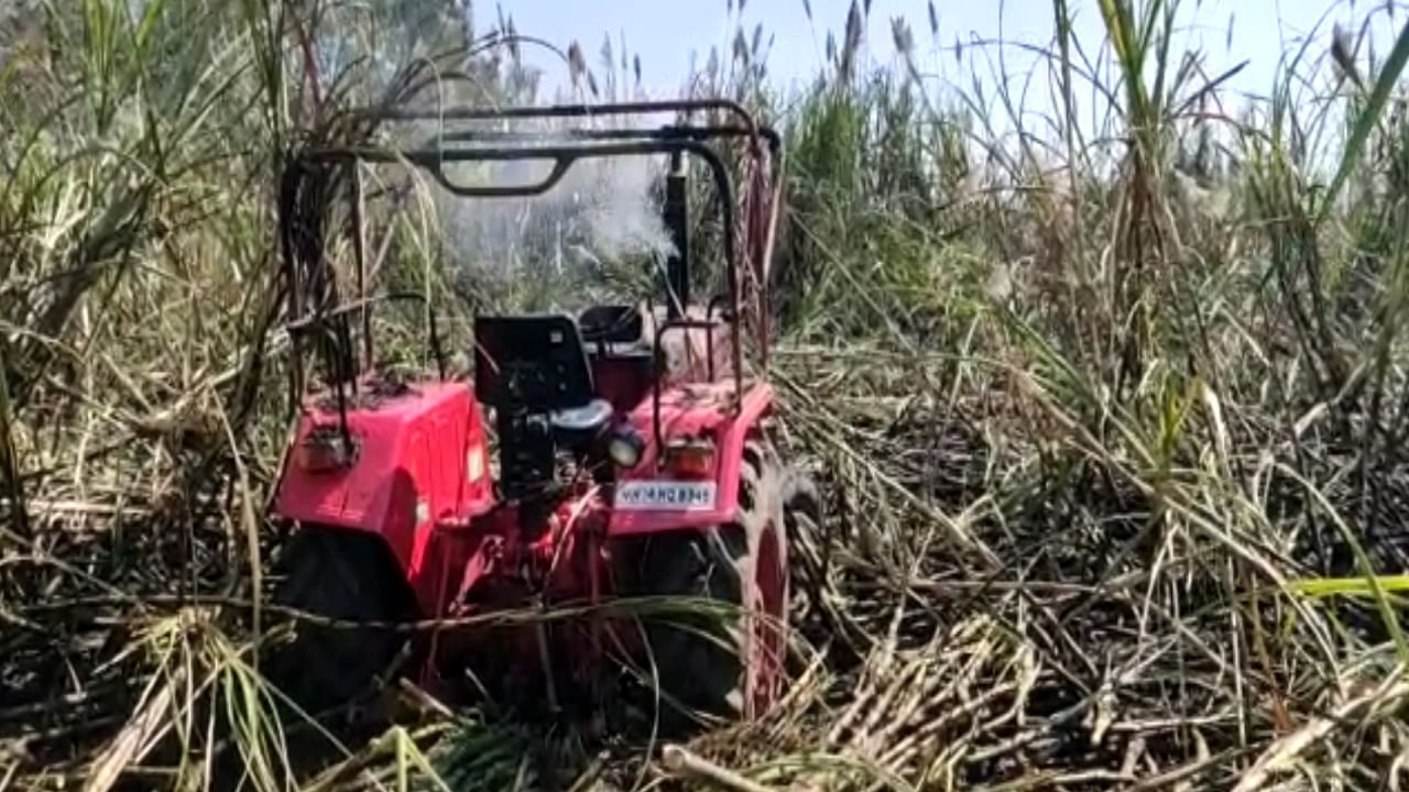 शॉर्टसर्किटमुळं दहा ते बारा एकर ऊस जळून खाक, टॅक्टरही जळाला; महावितरणचा गलथान कारभार