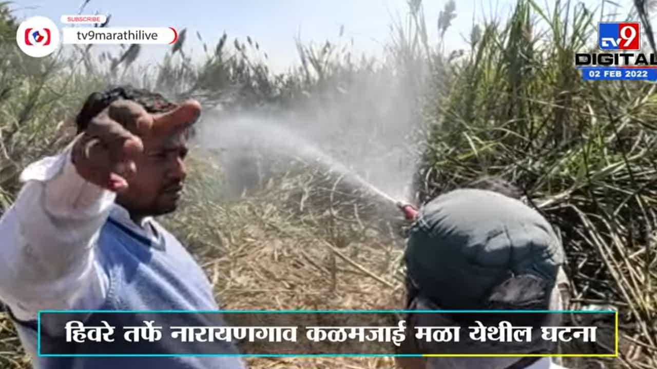 वीजवाहक तारांच्या घर्षणामुळे आगीच्या ठिणग्या, 10 ते 12 एकर ऊसासह ट्रक्टरचा कोळसा