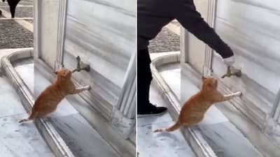 तहानलेल्यांना पाणी पाजावं ते असं! Viral Video पाहून यूझर्स म्हणतायत, माणुसकी अजून जिवंत!