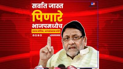 सर्वात जास्त पिणारी मंडळी भाजपमध्येच!, मलिकांच्या विधानामागील भाजपचे ते नवाब कोण?