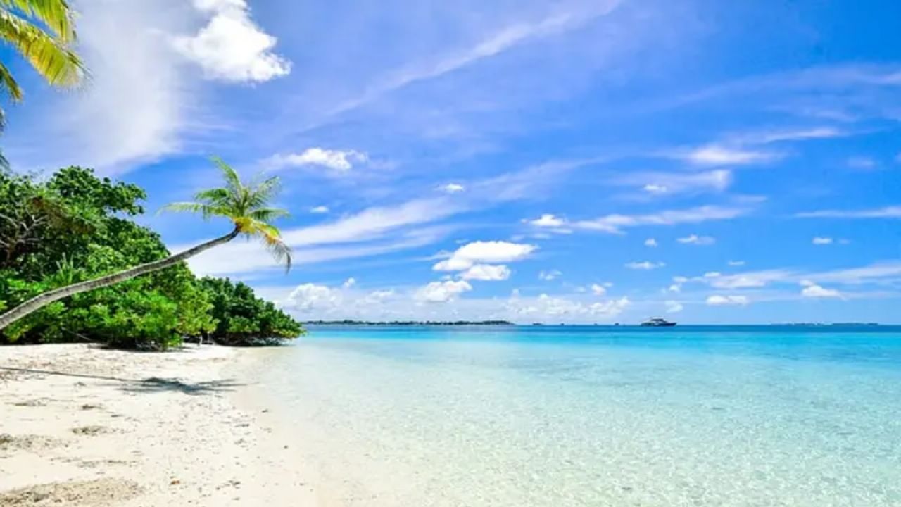 गोवा हे एक खास ठिकाण आहे. दरवर्षी शेकडो कपल्स खास वेळ घालवण्यासाठी येथे येतात. गोव्याचे नाव ऐकताच समुद्र किनारा, मनसोक्त नजारे डोळ्यांसमोर येतात.