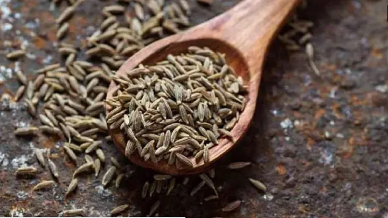 जिऱ्यामध्ये दाहक-विरोधी गुणधर्म असतात. त्यामुळे पचनसंस्था निरोगी राहण्यास मदत होते. यामुळे गॅसच्या समस्येपासून आराम मिळतो.