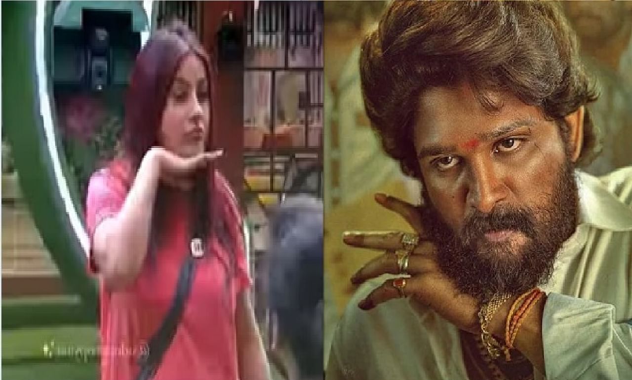 Video : 'पुष्पा' सिनेमातील 'ती' स्टाईल शहनाजची, अल्लू अर्जुनने तर कॉपी केलीय, खरं नाही वाटत?, व्हिडीओ बघाच...!