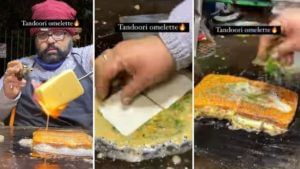तंदूरी ऑम्लेटचा तडका, अंग अंग भडका..! दिल्लीच्या या काकांनी बनवलीय अजबच रेसिपी, Video Viral