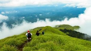 वजन कमी करायचे आहे? तर ब्रेकफास्टमध्ये करा या पदार्थांचा समावेश; व्यायाम न करता वजन होईल कमी