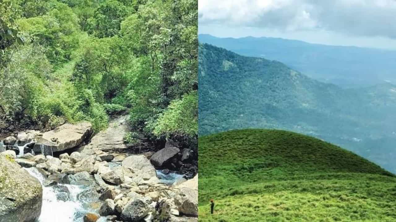 वायनाड हे केरळमधील एक सुंदर पर्यटन स्थळ म्हणून ओळखले जाते. तुम्ही केरळला जाऊन जर वायनाडला भेट दिली नाही तर तुम्ही अनेक गोष्टी मिस करता. वायनाड हे एक निसर्गसंपन्न असे शहर आहे. वायनाडवर निसर्गाने मुक्तहस्ताने उधळन केली आहे. येथील धबधबे आणि ऐतिहासिक गुहा जगप्रसिद्ध आहेत.