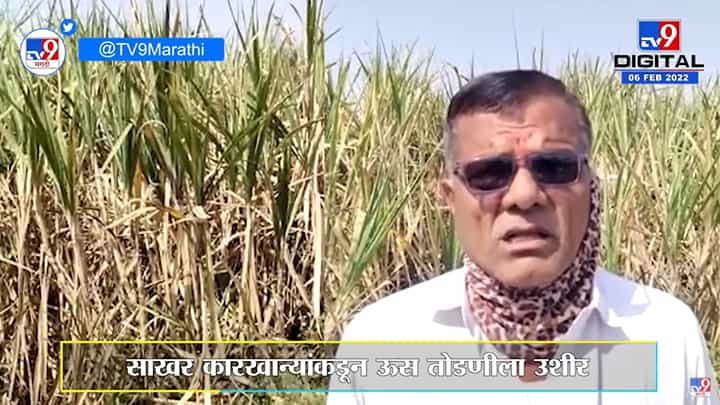 Nandurbar | साखर कारखान्यांकडून ऊस तोडणीला विलंब, शेतकऱ्यांमध्ये नाराजी Nandurbar | साखर कारखान्यांकडून ऊस तोडणीला विलंब, शेतकऱ्यांमध्ये नाराजी