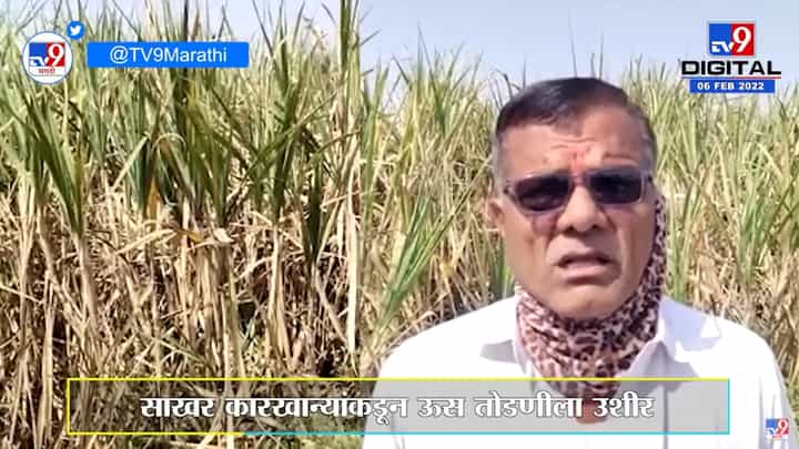 Nandurbar | साखर कारखान्यांकडून ऊस तोडणीला विलंब, शेतकऱ्यांमध्ये नाराजी Nandurbar | साखर कारखान्यांकडून ऊस तोडणीला विलंब, शेतकऱ्यांमध्ये नाराजी