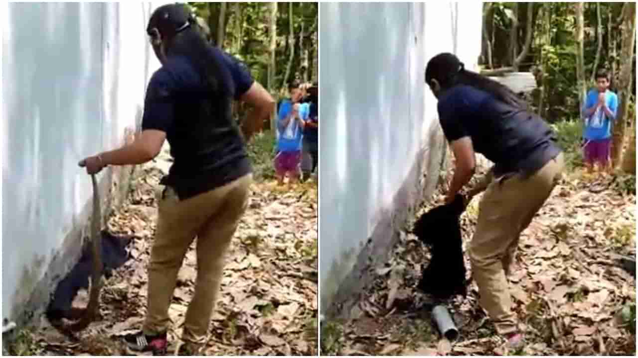 Viral : देसी जुगाड करून महिलेनं असा पकडला साप, आयएफएस अधिकाऱ्यानं शेअर केला Poisonous Snake Video