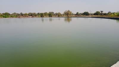 बीडच्या शेतकऱ्याचा नादच खुळा : पठ्ठ्याने तीन वर्ष परीश्रम केले पण पाणी टंचाईवर कायमचा तोडगाच काढला