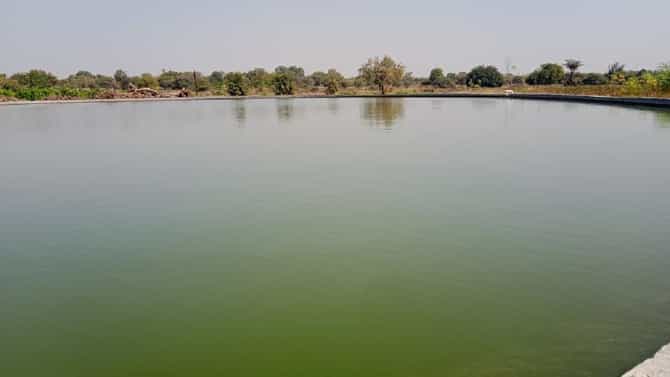 बीडच्या शेतकऱ्याचा नादच खुळा : पठ्ठ्याने तीन वर्ष परीश्रम केले पण पाणी टंचाईवर कायमचा तोडगाच काढला