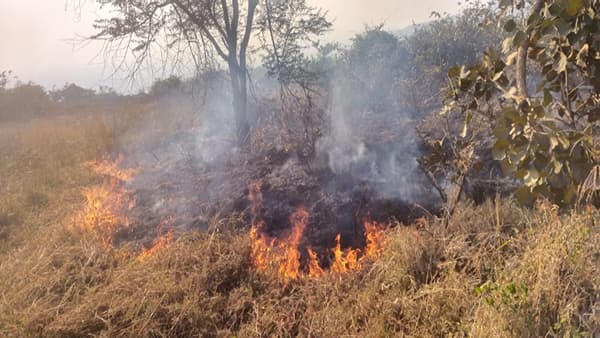 आळते गावच्या डोंगराला आग, दोनशे एकर परिसर जळून खाक, चाळीस लाखांचे नुकसान