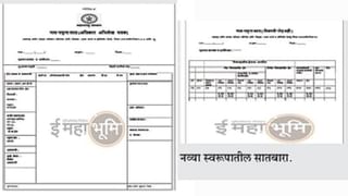 Soybean Crop: उन्हाळी सोयाबीनने मिटणार खरिपातला प्रश्न, शेतकऱ्यांना घ्यावी लागणार ‘ही’ काळजी..!