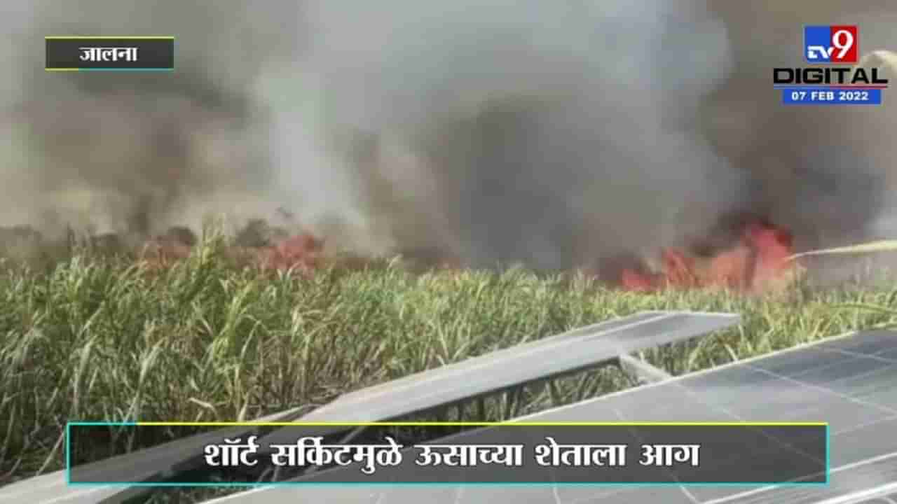 Sugarcane fire : तोडणीला आलेला ऊस आगीच्या भक्ष्यस्थानी, 39 शेतकऱ्यांच्या स्वप्नांची राख-रांगोळी