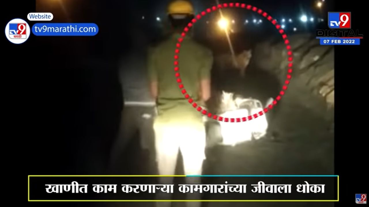 Chandrapur शहरालगतच्या पद्मापूर कोळसा खाणीत वाघाचा शिरकाव; कामगारांमध्ये भीतीचे वातावरण